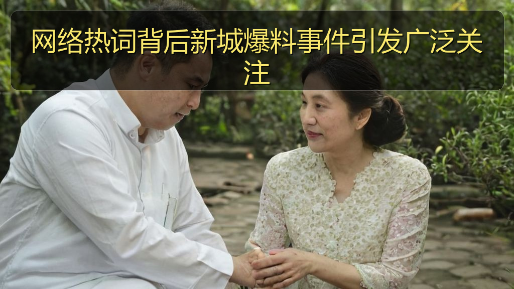 网络热词背后新城爆料事件引发广泛关注